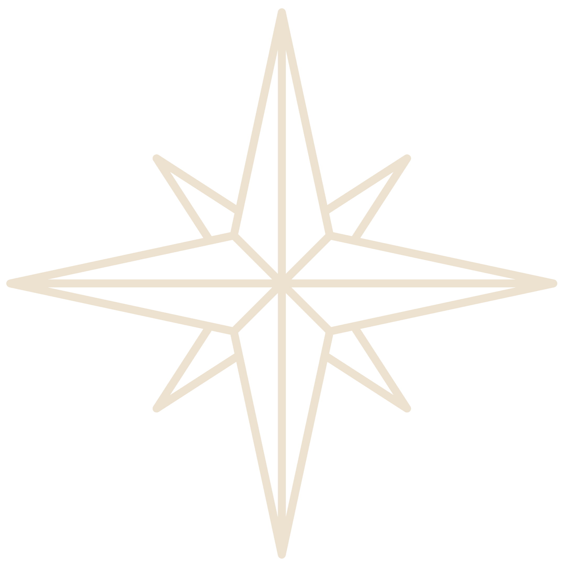 Terranova origen
